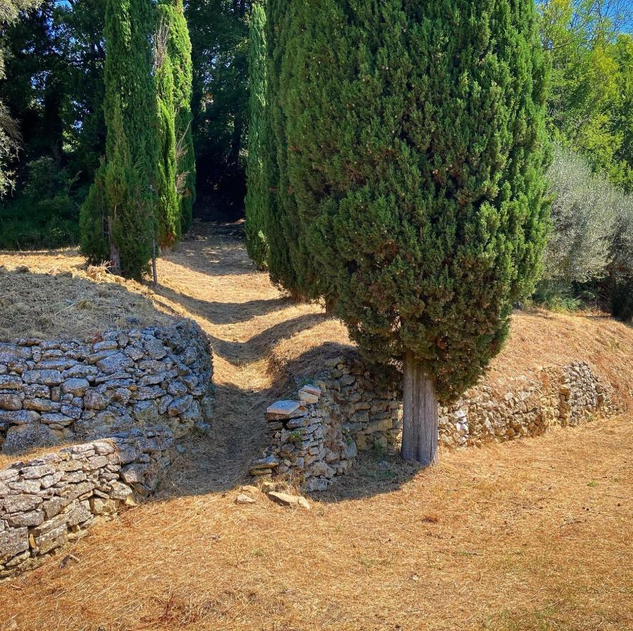 Garden Relais Le Fontanelle Aparthotel Montescudaio Eksteriør bilde