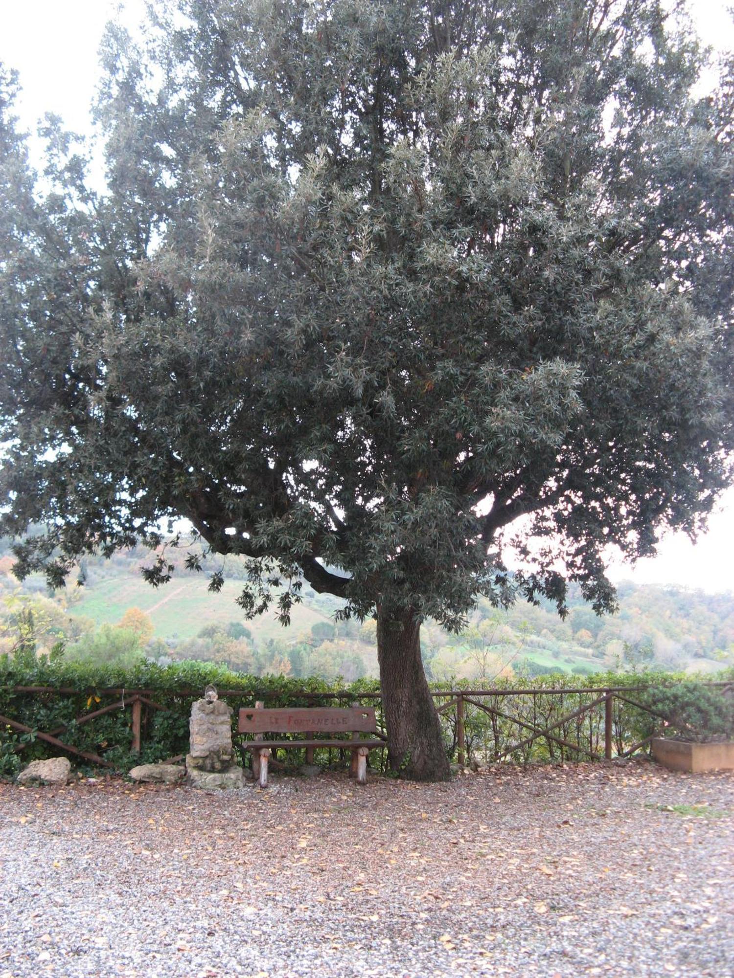 Garden Relais Le Fontanelle Aparthotel Montescudaio Eksteriør bilde