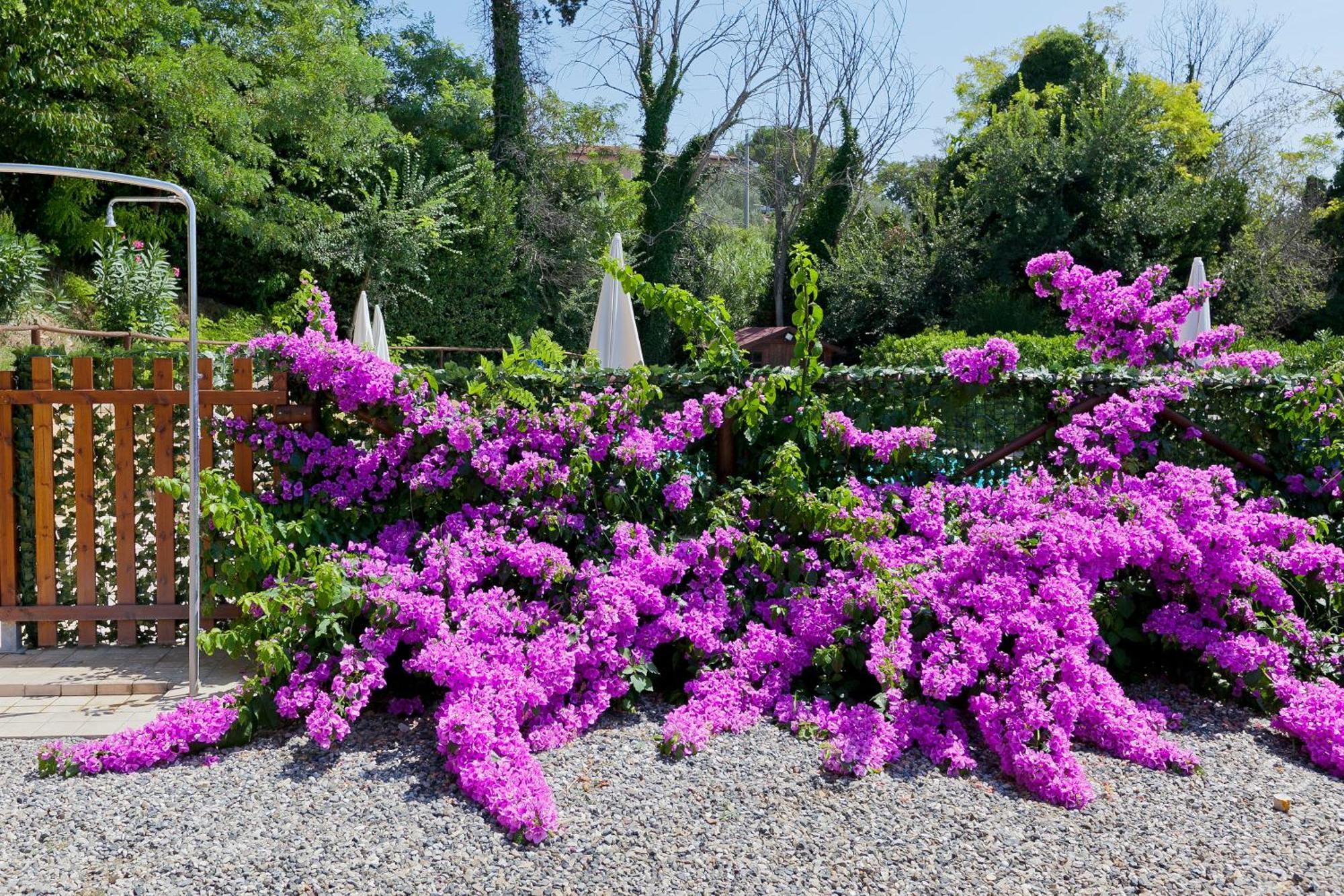 Garden Relais Le Fontanelle Aparthotel Montescudaio Eksteriør bilde